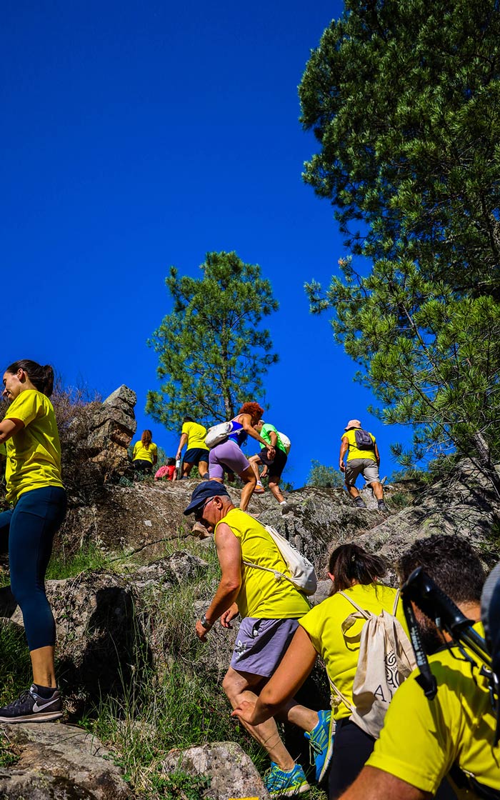 fotos projeto pnrvt mediaon