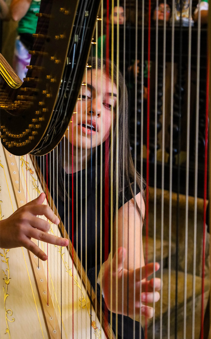 fotos projeto pnrvt mediaon