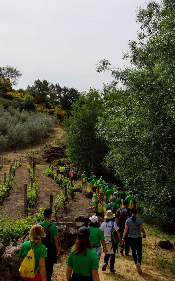 fotos projeto pnrvt mediaon