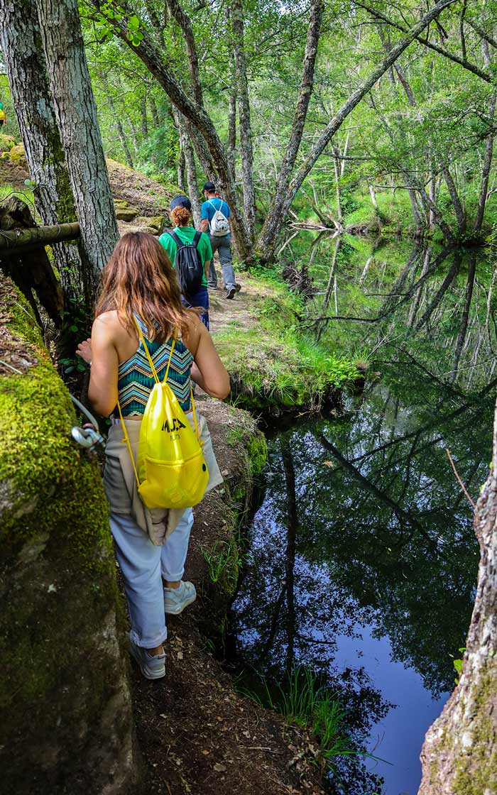 fotos projeto pnrvt mediaon