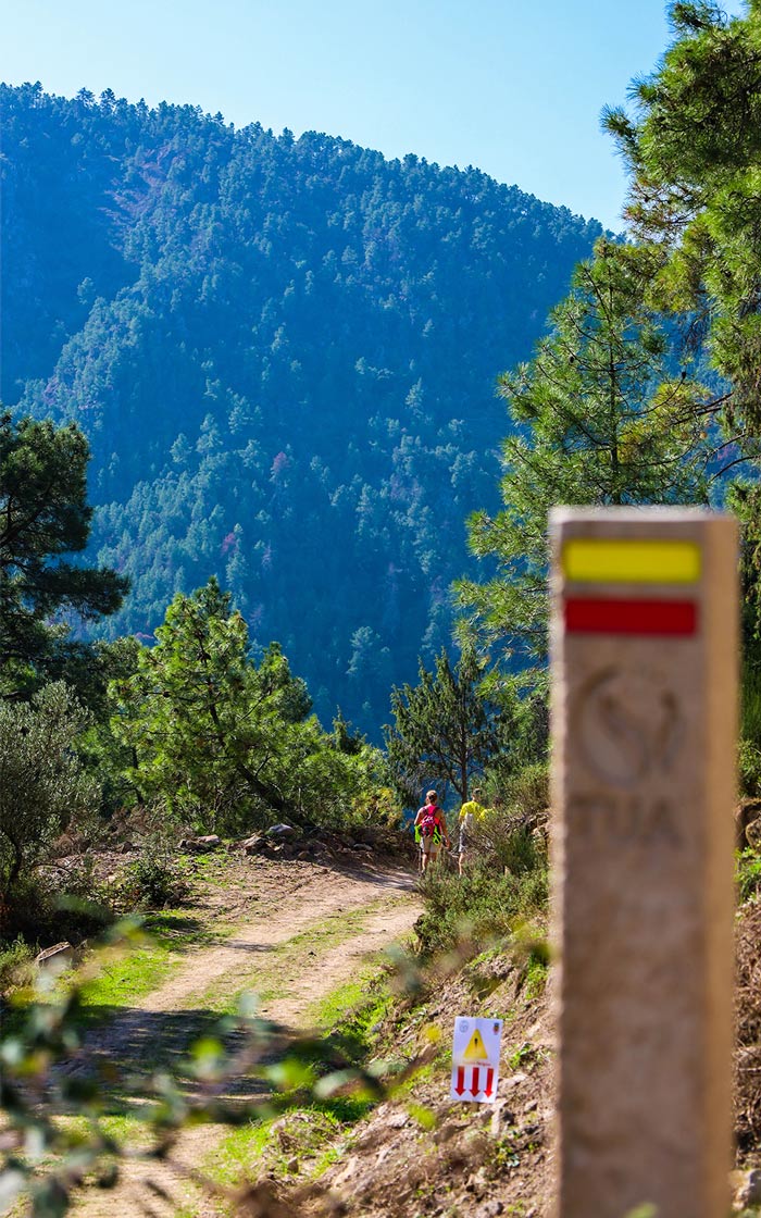 fotos projeto pnrvt mediaon