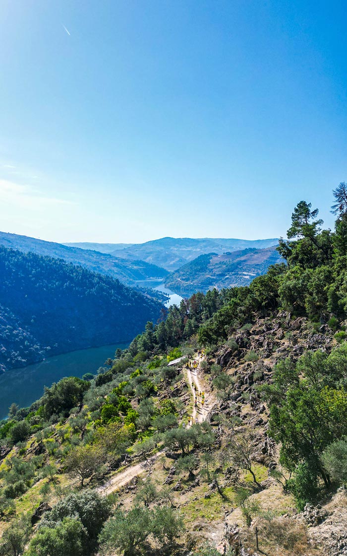 fotos projeto pnrvt mediaon