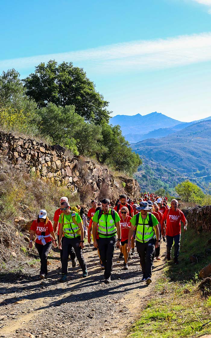 fotos projeto pnrvt mediaon