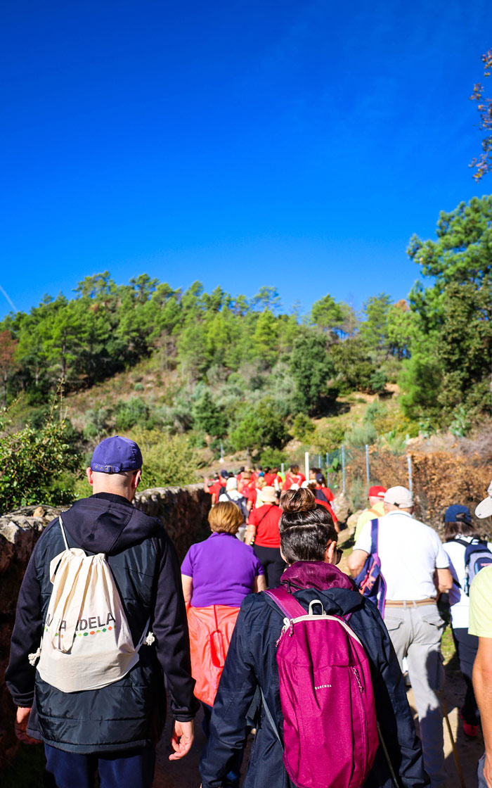 fotos projeto pnrvt mediaon